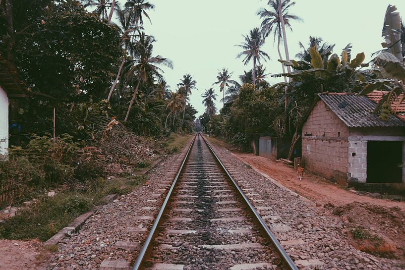Treinrails van yasmin