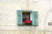 Fenster mit Blumen