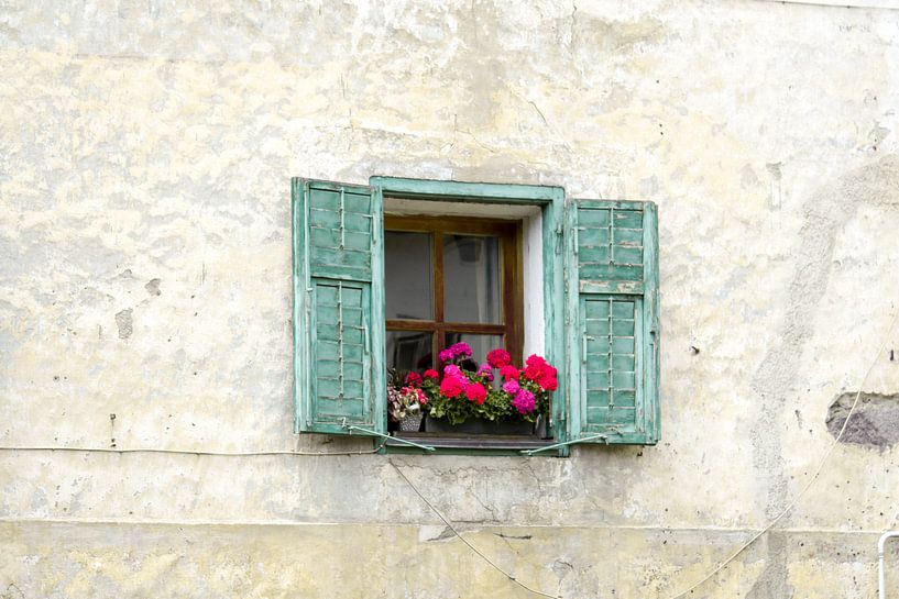 Window with flowers by Rene Bakker
