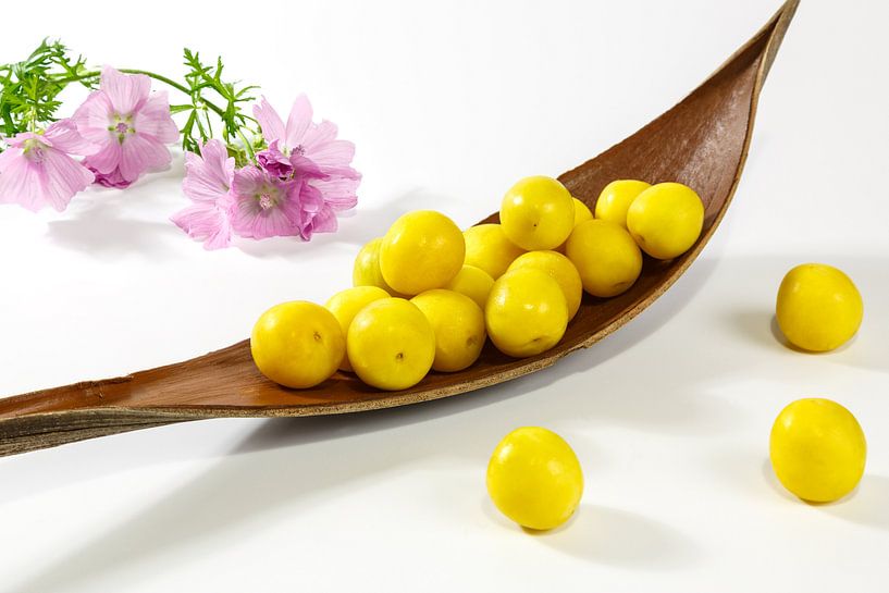 Mirabellen und Rosenmalve by Rolf Pötsch