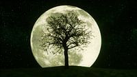 a mysterious tree in the moonlight (3d rendering,this image elem
