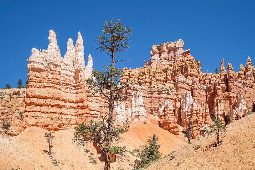 BRYCE CANYON Fascinantes formations rocheuses par Melanie Viola