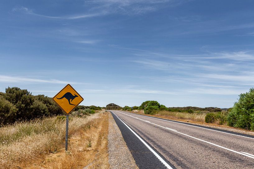 Outback Australia. Célèbre panneau iconique de kangourou sur l'autoroute par Tjeerd Kruse