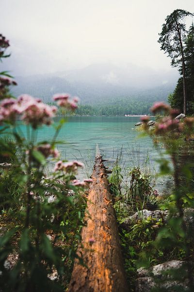 Passage to the Eibsee by Wahid Fayumzadah