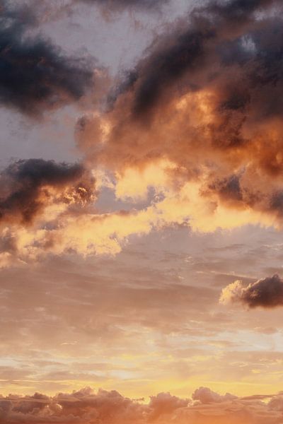 Mit dem Kopf in den Wolken von Expeditie Aardbol