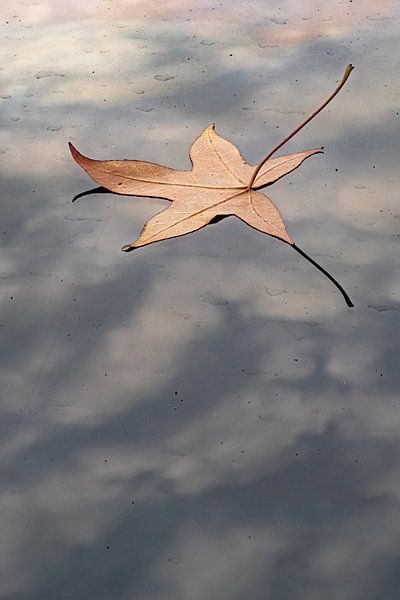 Equivalent IV by Bram Verhees | Miksang Fotografie