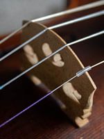 Violon Closeup 03 | Image