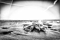 Ster op het strand