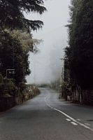 Foggy road