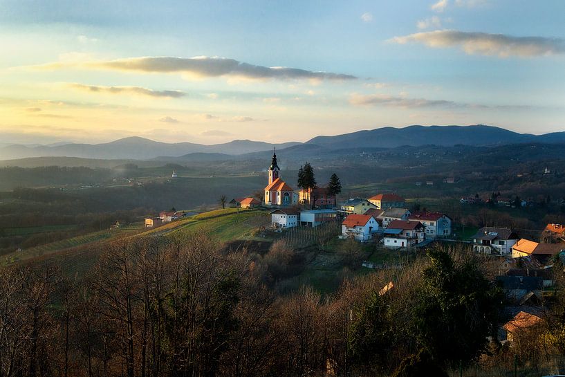 Vivodina von René Pronk