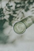 Photo print of shadow of leaves