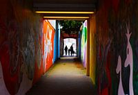 De Tovertunnel in Delfshaven, Rotterdam