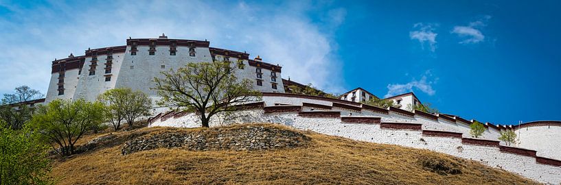 Die sehr große Potala-Palast in Lhasa, Tibet von Rietje Bulthuis