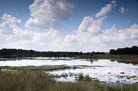 A mirror of clouds in the water.