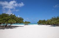 Aruba, boat, blue sky, trees, white beach