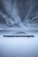 Mussel piles Opal Coast