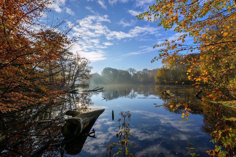 quiet autumn shot in the Horsten Estate by Remco Van Daalen