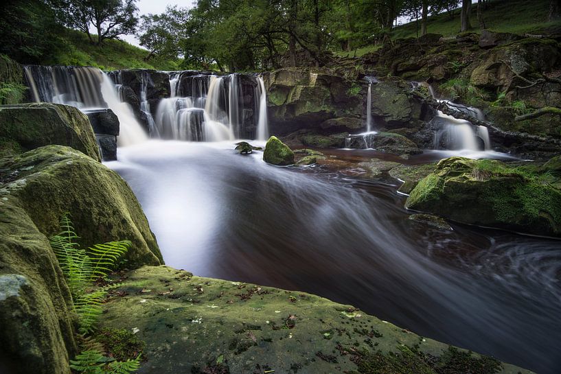 Go with the Flow by Raoul Baart