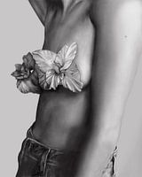 Beautiful Flower Tiddis