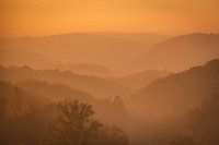 Abendsonne in den Ardennen