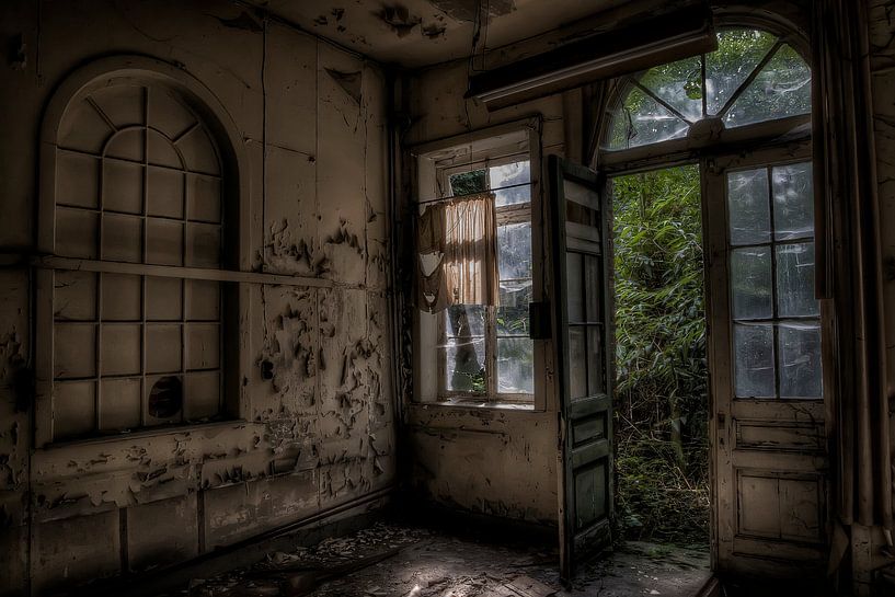 Die Natur nimmt es zurück von Eus Driessen