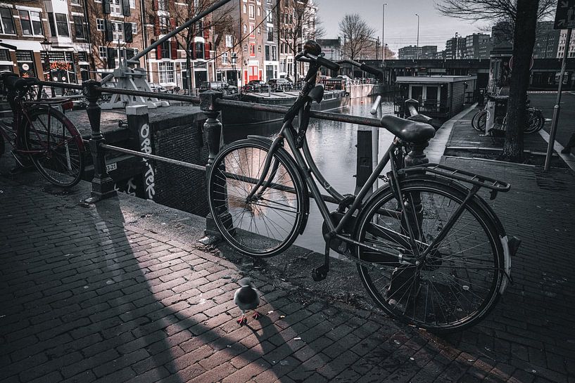 Amsterdam in the Netherlands is not just black and white by Thilo Wagner
