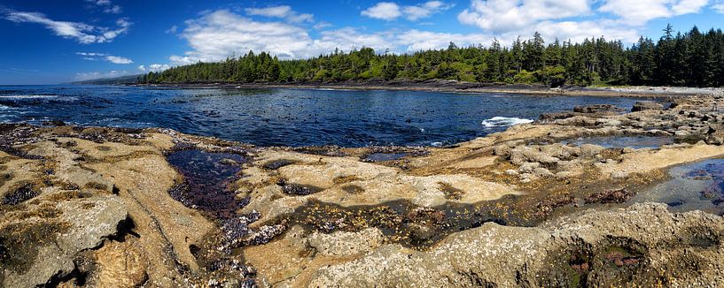 Plage botanique par Dirk Rüter