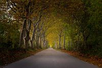 Hiking trail at Narbonne - France