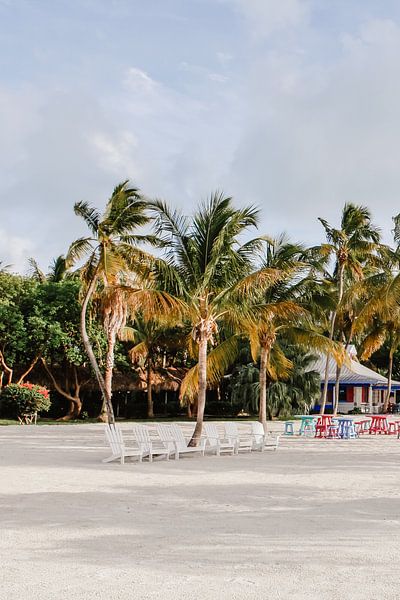 Schlüssel Islamorada Florida Amerika von Amber den Oudsten