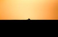 Fermier sur la digue....