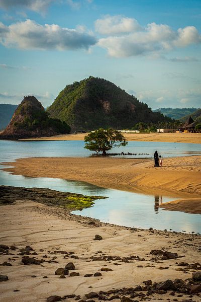 Die Wasserwege von Ellis Peeters