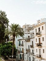 Ibiza | Die Häuser von Ibiza, Spanien