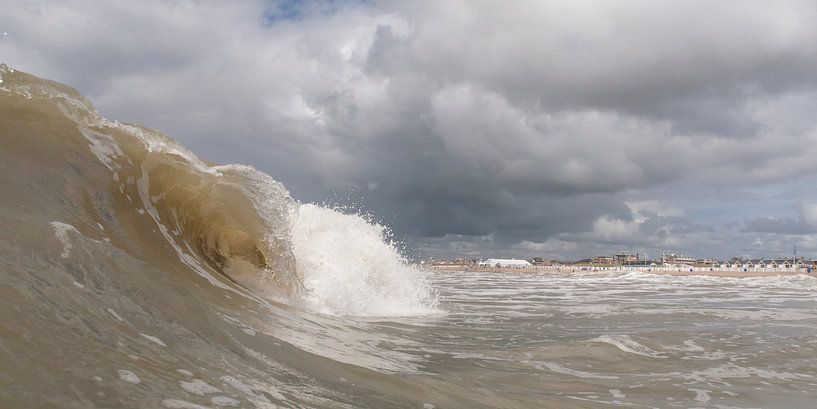 surf by Arjan van Duijvenboden