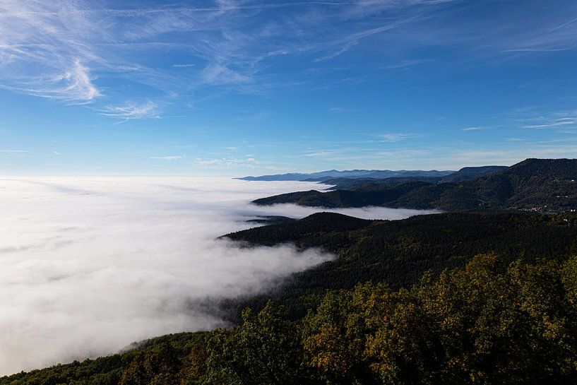 Zicht op het Rijndal vanaf Kasteel Haut-Koenigsbourg in de Oostelijke Vogezen (liggend) van André Blom Fotografie Utrecht