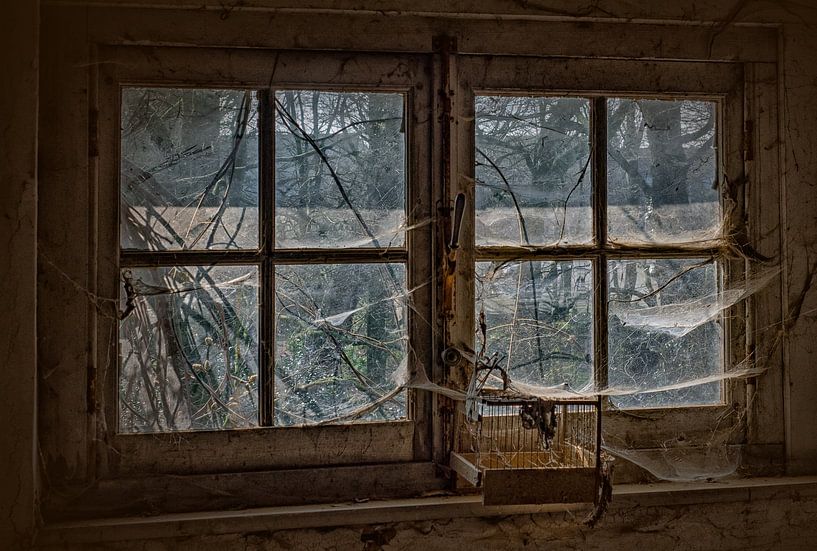 Beatiful decay by Natascha Worseling