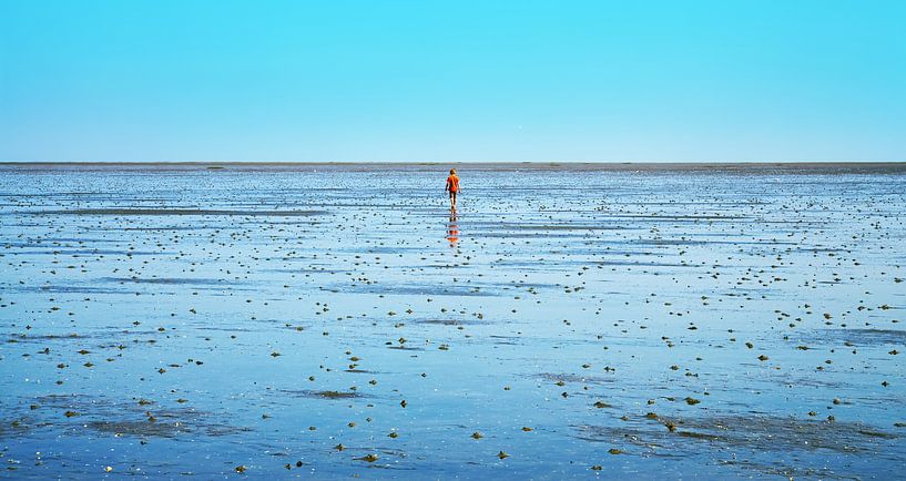 Wattenmeer von Bo Valentino