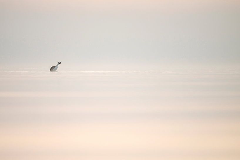 ochtendstemming par Ronald Hofmeester