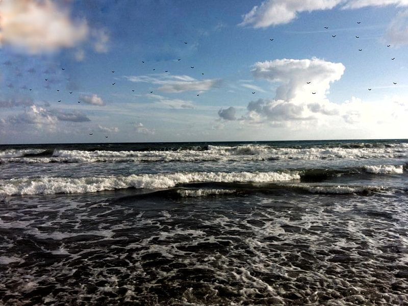 Meer Wasser Traum  Carmen Sander  von Carmen  Sander 