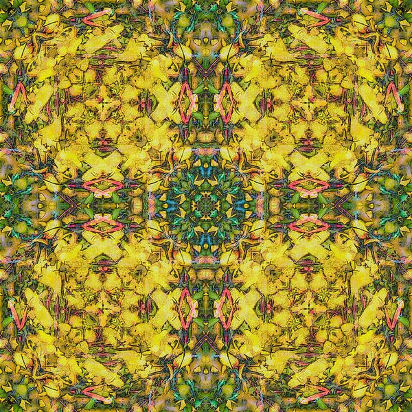 Purple Fuchsia par Frans Blok - des photos, de l'art et des autres décorations murales