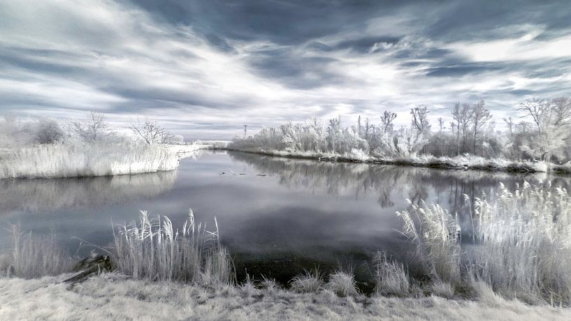 Winter afternoon in the Biesbosch by Ad Van Koppen Fotografie