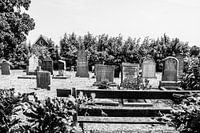 Begraafplaats | Oosthuizen |  2016