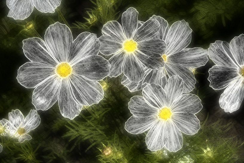 White Dream 1 von Edgar Schermaul