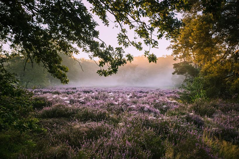 Sunrise Garderen by Sylvia Schuur