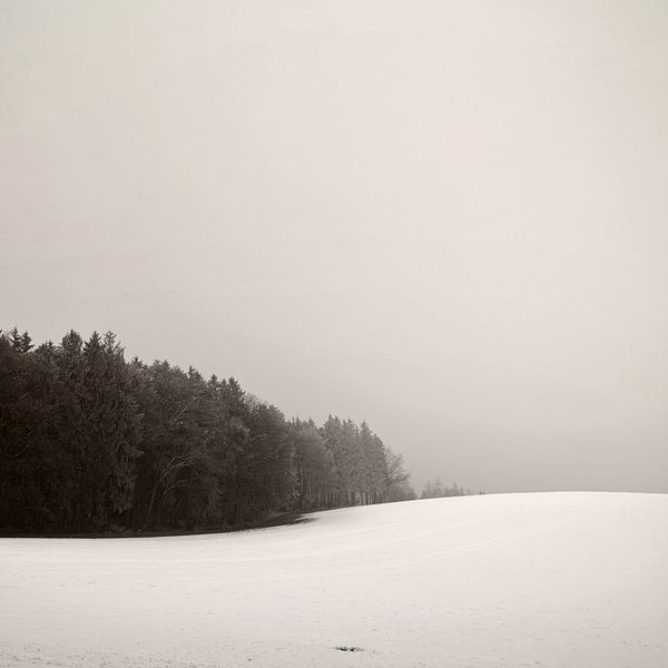 Verschneites Hügelland von Lena Weisbek