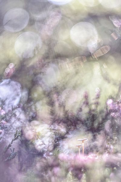 Fantasie der Natur von Bob Daalder