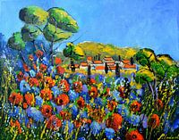 Red poppies in Provence 54
