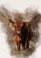 Scottish Highlander