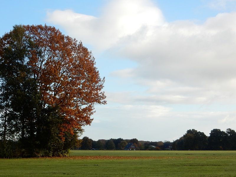 Niederländische Landschaft von Joke te Grotenhuis