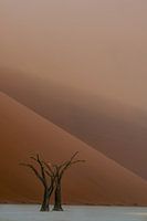 Minimalist Deathvlei