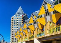 Würfelhäuser in Rotterdam in der späten Nachmittagssonne vor einem strahlend blauen Himmel.